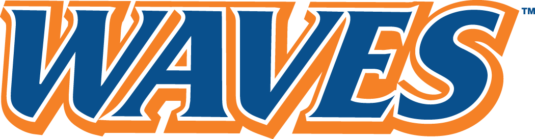 Pepperdine Waves 2004-Pres Wordmark Logo v3 iron on transfers for fabric